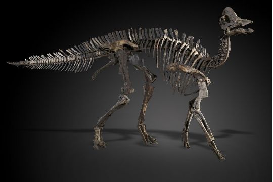540x360.jpg