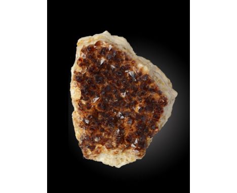 Minerals: An Amethyst specimen20cm.; 8insProvenance: Emmen Zoo Collection.  See footnote to lot 1 for more information.