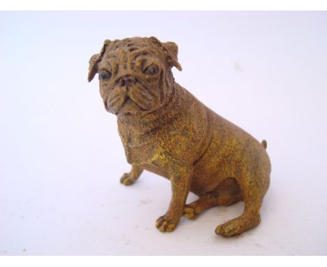 A Bergmann style Austrian cold painted bronze of a seated pug, unmarked, 9cm high. 