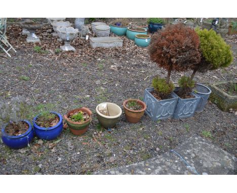 A PAIR OF SQUARE PLASTIC PLANTERS with contents, a similar circular planter, and five other various garden plant pots (8)