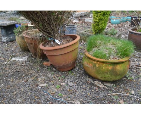 THREE SIMILAR CIRCULAR TERRACOTTA GARDEN PLANTERS, on with a planted conifer (one pot damaged) and another planter (4) 