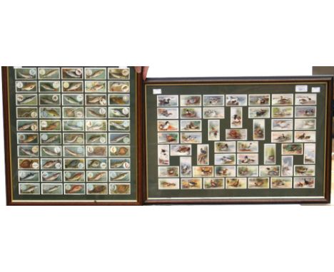 Two framed cigarette card collections, comprising John Player and Sons, 'The Game Birds and Wild Fowl', plus Will's cigarette