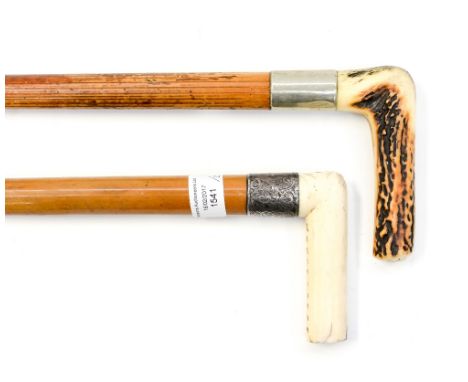 An ivory handled walking stick with silver collar (indistinct hallmark) with a horn handled walking cane (2) 