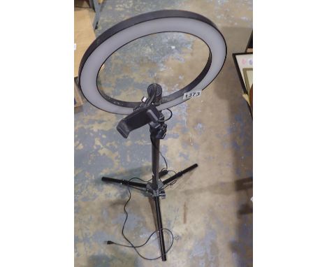 Social media video halo light with phone mount. Not available for in-house P&amp;P, contact Paul O'Hea at Mailboxes on 01925 