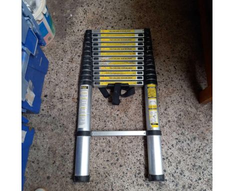 12 STEP ARTICULATED LADDER