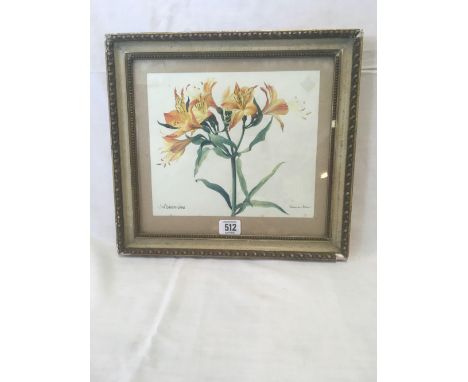 FINE QUALITY BOTANICAL WATERCOLOUR OF ALSTROMERIA, SIGNED INDISTINCTLY &amp; INSCRIBED, 12” X 13”