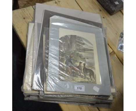 Greyhounds - hand coloured lithograph and etchings of the Greyhound family by various artists