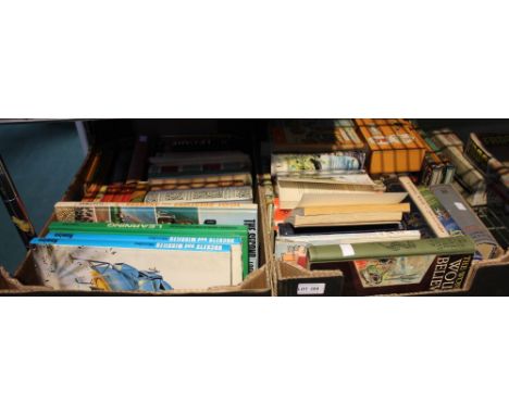 Two boxes containing vintage children's books and others