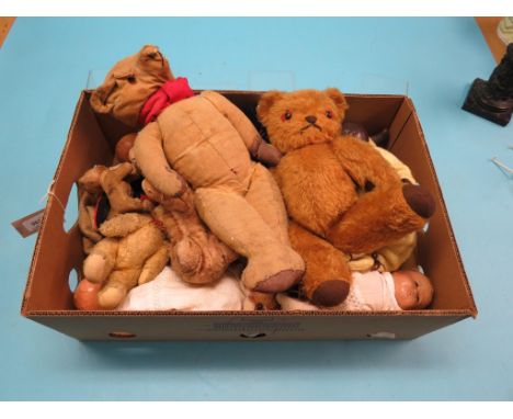 Steiff and other soft toys, various dolls and Teddy bears, as viewed