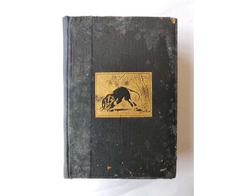 JABEZ T. SUNDERLAND EDITOR OF YOUNG INDIA (NEW YORK) 
First Edition Year - 1928 
7.5 x 5.5 x 2.5 inches 
The book written by 