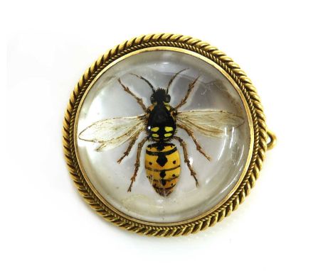 A late Victorian reverse painted crystal intaglio brooch,depicting a painted wasp or vespa in black, yellow and white, to a m