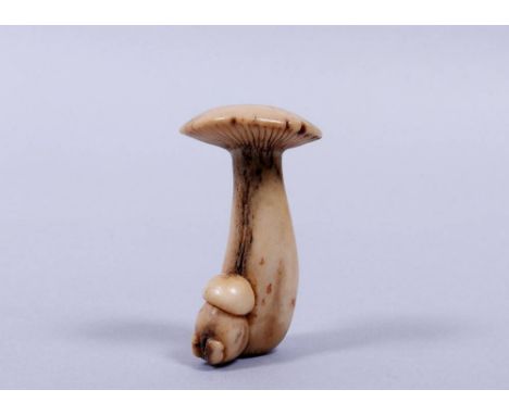 Netsuke, Japan, Edo-Zeit, Hirschhorn zwei Matsutake-Pilze, unsign., H 5,5cm, Alters- u. Gebrauchsspuren Provenienz: Slg. Heim