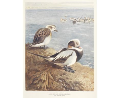 MILLAIS (JOHN GUILLE)British Diving Ducks, 2 vol., NUMBER 305 OF 450 COPIES,  74 plates (39 colour) by Thorburn, Millais, O.M