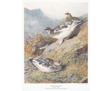 MILLAIS (JOHN GUILLE)The Natural History of British Game Birds, NUMBER 72 OF 550 COPIES,  35 plates (18 colour, 17 photogravu