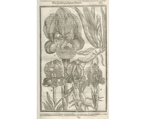 PARKINSON (JOHN)Paradisi in sole, paradisus terrestris. A Garden of all Sorts of Pleasant Flowers, FIRST EDITION,  allegorica