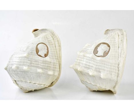 A pair of conch shells, each carved with portrait busts, side profiles, gentleman and lady, height 20cm (2).