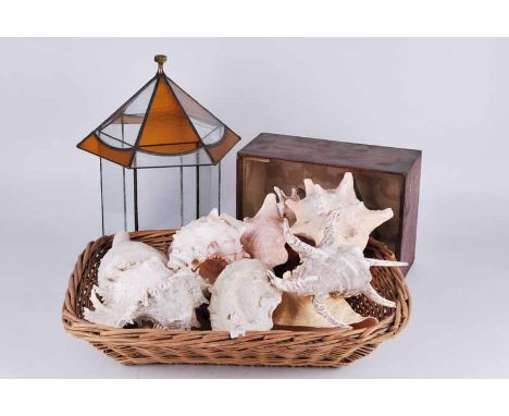 Cased Robins, a small glass terrerium plus a selection of large sea shells in wicker basket