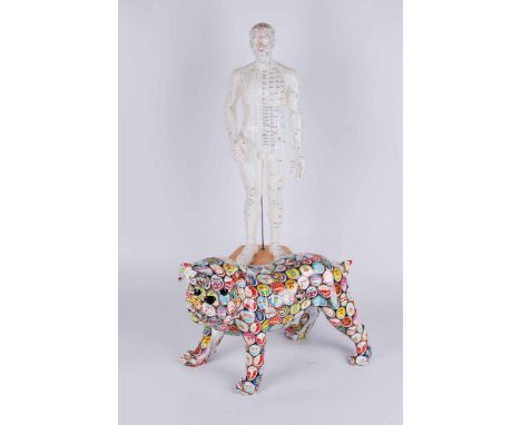 A rubber medical anatomical model of accupuncture points on a wooden base 52cm H, with resin Bulldog decorated with print of 