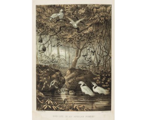 Birds.- Brehm (Dr. A. E.) Bird-Life being a History of the Bird, its Structure, and Habits, first English edition, translated