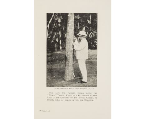 South America.- Woodroffe (Joseph F.) The Upper Reaches of the Amazon, first edition, half-title, 21 plates, original red clo