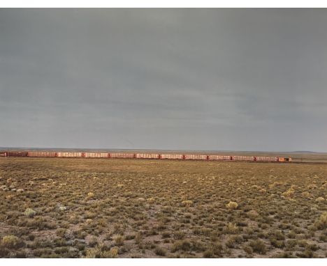 Richard Misrach is a contemporary American photographer known for his large-scale photographs of the American landscape. Born