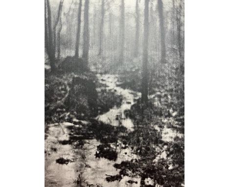 Edward Steichen was an influential American photographer, painter, and curator. He was born on March 27, 1879, in Luxembourg 