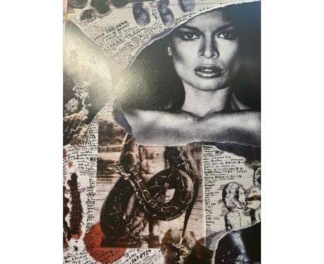 Peter Beard (1938-2020) was an American artist, photographer, and writer known for his unique style of combining photography,