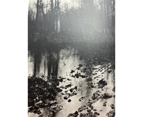Edward Steichen was an influential American photographer, painter, and curator. He was born on March 27, 1879, in Luxembourg 
