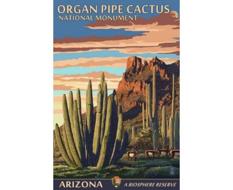 The Organ Pipe Cactus (Stenocereus thurberi) is a unique and fascinating plant species found primarily in the Sonoran Desert 