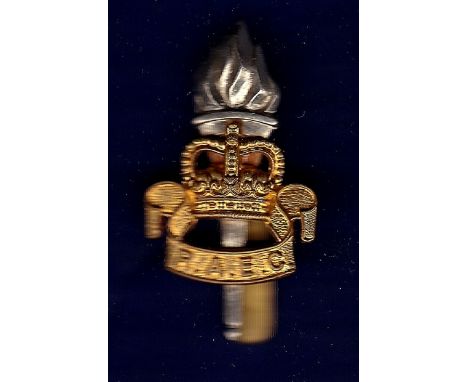 Royal Army Educational Corps (R.A.E.C) Cap Badge, QC