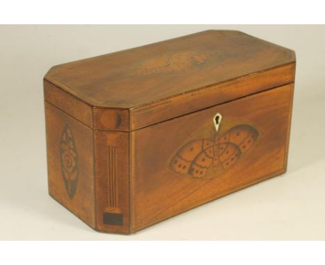 A GEORGIAN MAHOGANY TEA CADDY, early 19th century, of canted oblong form, the fascia inlaid with stained and coloured woods a