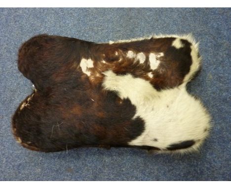 Cow hide stool L55cm 