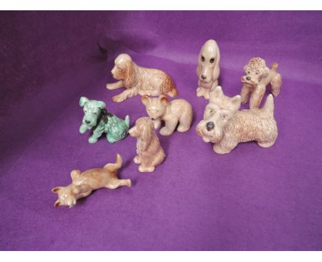 Eight Sylvac studies, Bear 1426, Dog 72, Poodle 3110, Invalid Dog 1433, Dog 1141, Droopy Dog 2950, Dog 3134 and a Cruet model
