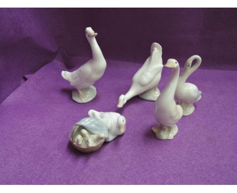Five Llado, Nao & Valencia studies, various ducks