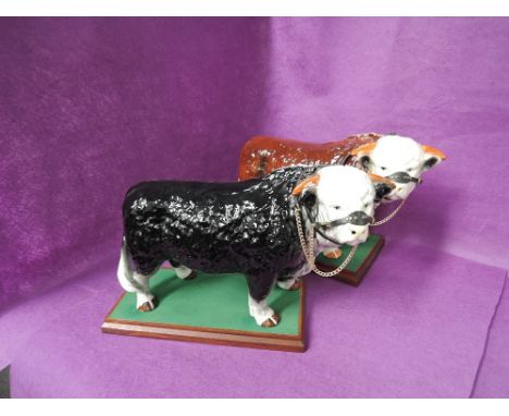 Two ceramic shop display models, Hereford Bulls with harness, both on display plinth
