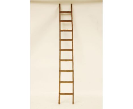 Library ladder