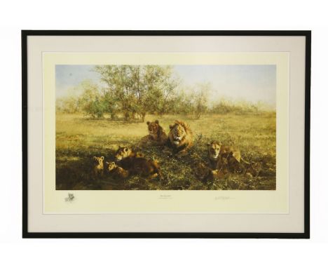 David Shepherd, FIRST LIGHT AT SAVUTI, pencil signed print l.r., blind stamp l.l, framed, 52 x 80cm