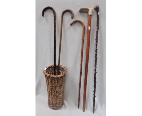 A WALKING STICK WITH UNSCREWABLE HORN HANDLE (formerly holding a flask or sword), and other sticks, contained in a wicker sta