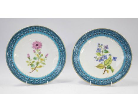 Two early 20th Century Royal Worcester hand painted plates