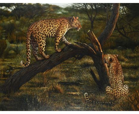 Φ Tony Karpinski (b.1965)Two leopardsSigned Karpinski (lower left), and further signed, dated and inscribed Leopards/South Af