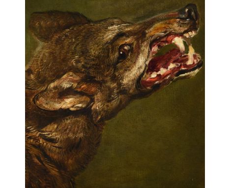 Jan Fyt (Flemish 1611-1661)Head of a wolf Oil on canvas 35.5 x 35.5cm (13¾ x 13¾ in.)This picture relates to two studies of w