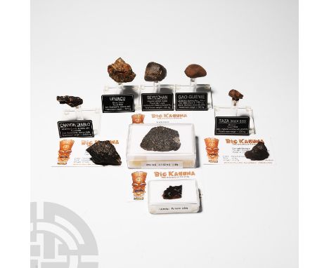 . A mixed group of nine meteorite specimens mounted on custom-made display stands, held in collector's cases or in collector'