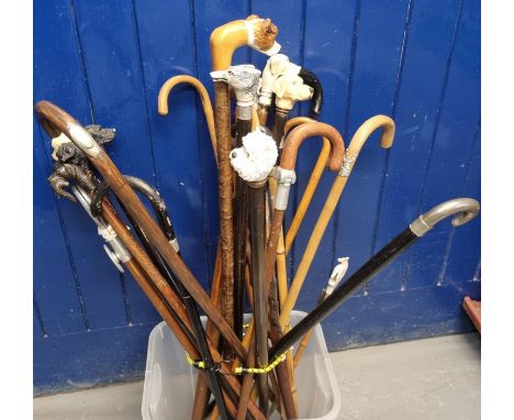 Good collection of assorted  walking sticks and canes, many with moulded or carved dog head mounts, canes, shooting stick wit