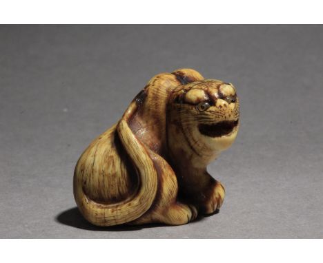 Signed Hogen Rantei on a side. In carved elephant tusk portraying a tiger with horn eyes, sat on the floor, looking at his ri