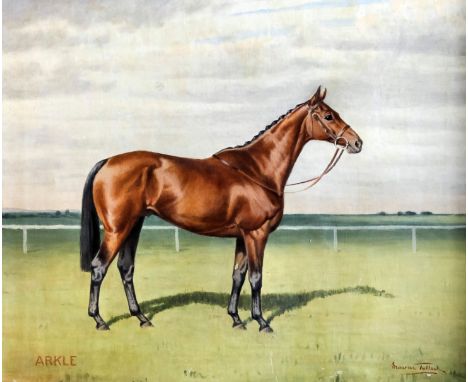 Maurice Tullock (1894-1974) - Oil painting - Equine portrait - "Arkle", canvas 20ins x 24ins, signed and titled, in painted m