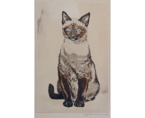 A study of a Siamese cat, coloured etching, signed indistinctly in pencil &amp; with blind-stamp to lower border, 28cm x 8cm 