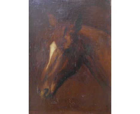 English School, study of a horse's head, oil on canvas mounted on panel, framed