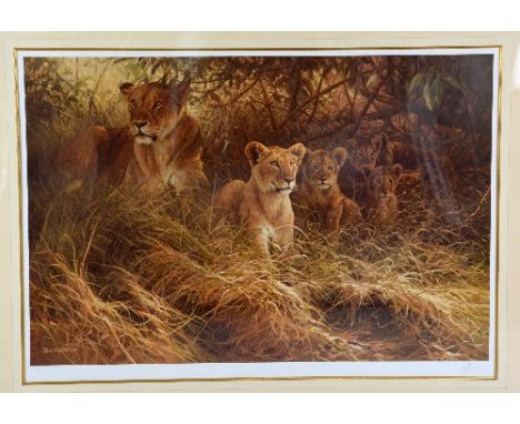 AFTER DICK VAN HEERDE, 'MOTHERS PRIDE', a limited edition print 236/500, signed and numbered in pencil, unframed, 78cm x 54cm