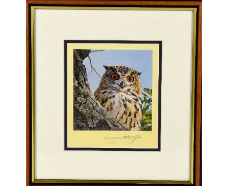 AFTER ANTHONY GIBBS, 'BENGAL EAGLE OWL', a limited edition print 703/1000, signed and numbered in pencil, framed, 28cm x 26cm