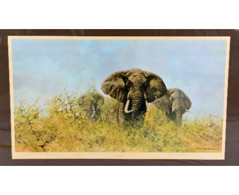 AFTER DAVID SHEPHERD, 'THREE HAPPY JUMBOS', a limited edition print 1/850, signed in pencil with certificate verso, framed